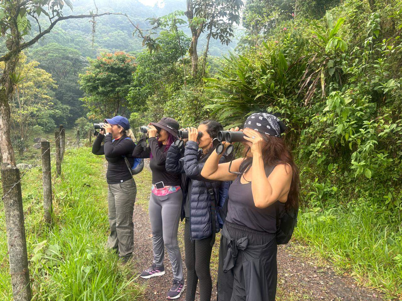 AVISTAMIENTO DE AVES EN RESTREPO